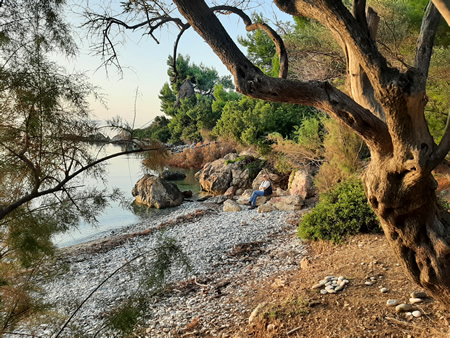 Cleaned beach - for how long ?! -  in Pagania